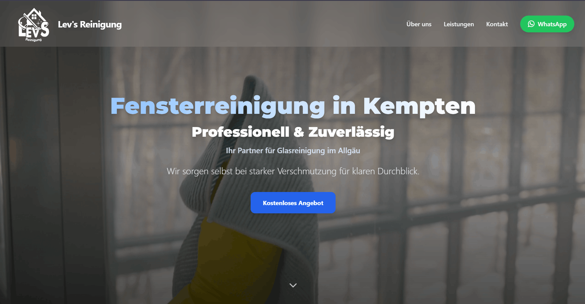 LevS Reinigung (Cleaning Company)